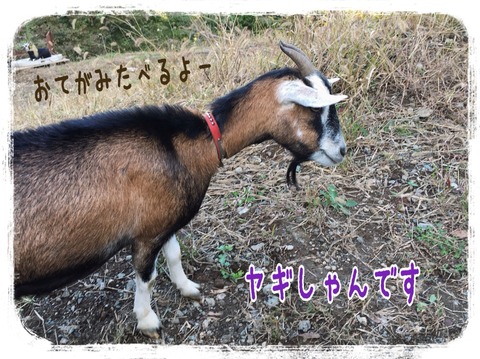 2015-10-20-23-06-04