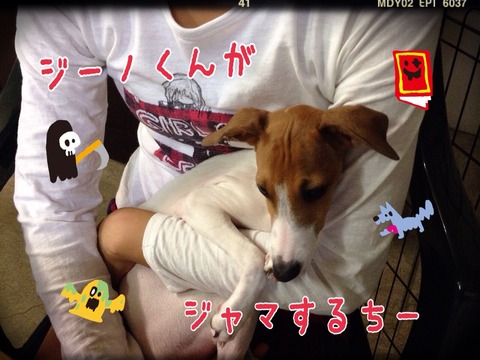 2014-10-06-09-00-15
