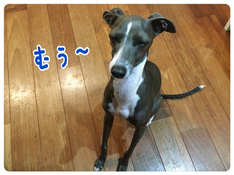 2015-12-06-22-45-39