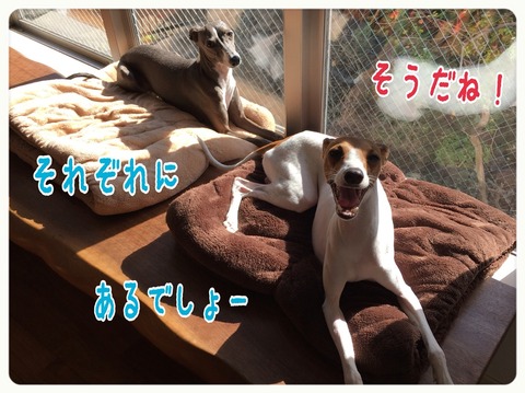 2015-10-27-22-04-18