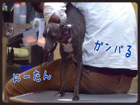 2015-04-19-19-19-57