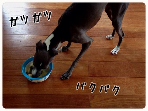 2014-09-29-23-06-12