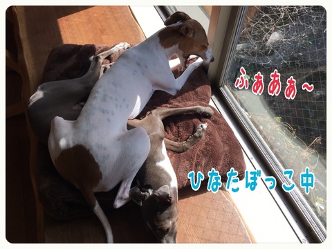 2015-10-27-21-56-54
