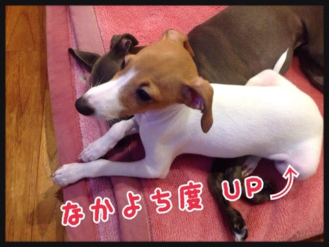 2014-09-02-05-38-32