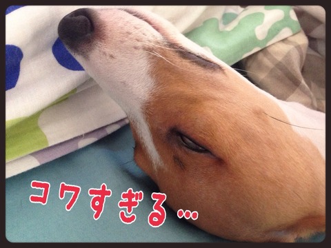 2014-09-05-21-04-12