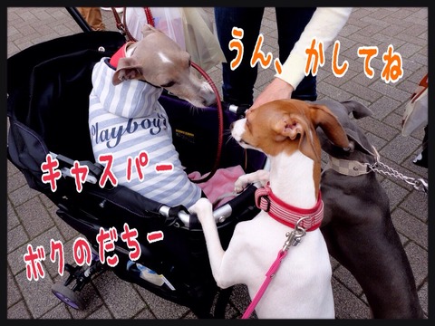 2015-04-13-17-15-39