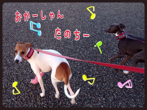 2015-01-31-22-06-35