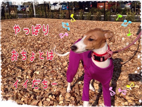 2014-12-31-20-57-27