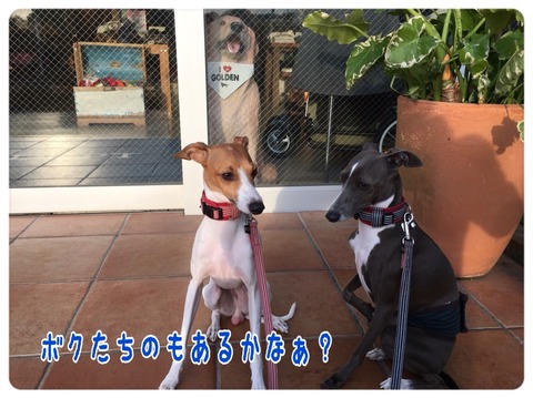 2015-12-08-21-55-54
