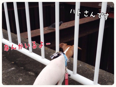 2014-10-02-16-35-53