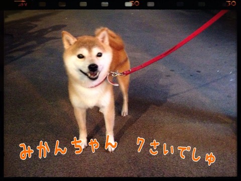 2014-10-09-23-00-03