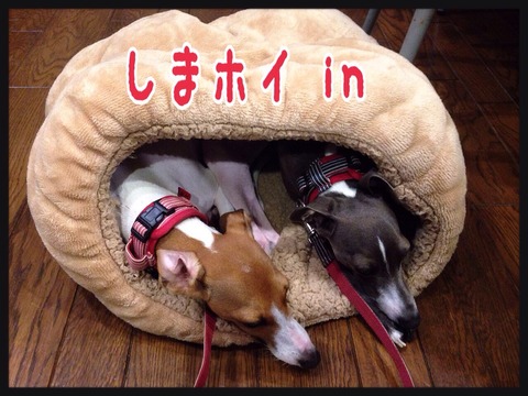 2015-07-28-21-50-18