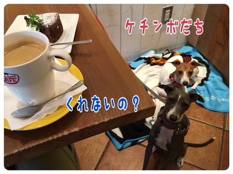 2015-12-08-21-58-45