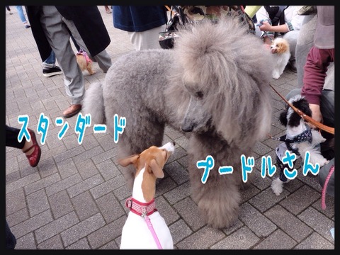 2015-04-12-22-44-09