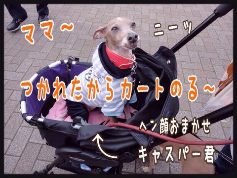 2015-04-13-21-00-30