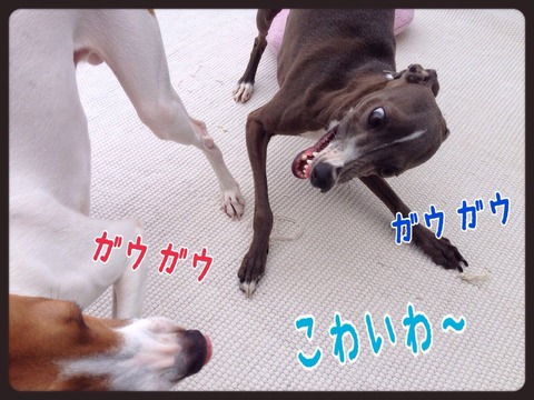 2015-04-20-21-41-57