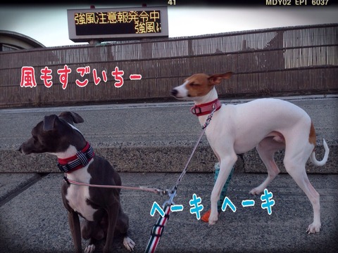 2015-01-23-20-33-43
