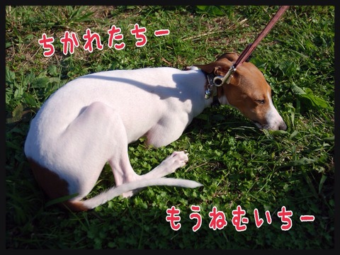 2014-10-25-22-40-13