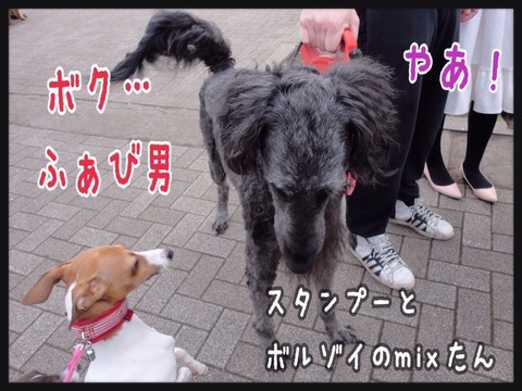 2015-04-13-20-23-12