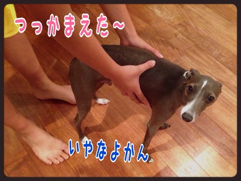 2015-08-31-21-27-08
