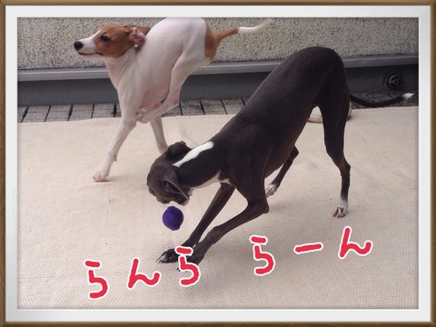 2014-09-10-09-46-43