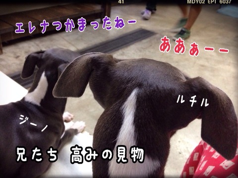 2014-10-06-06-15-04