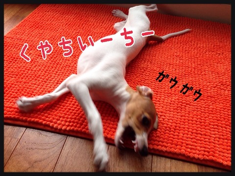 2014-09-20-00-21-14