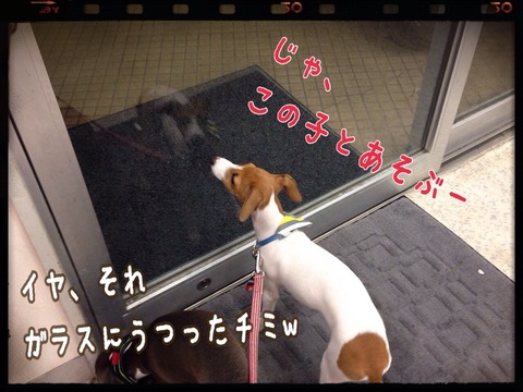 2014-10-09-22-33-48