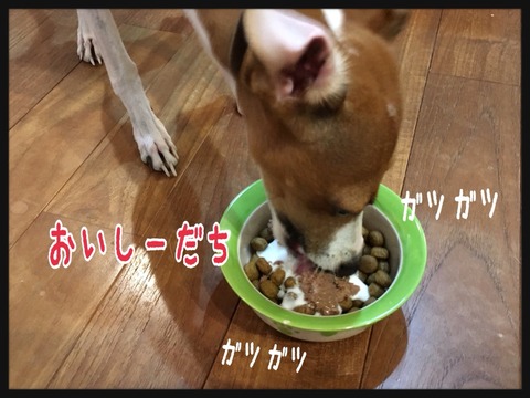 2015-10-15-22-46-36