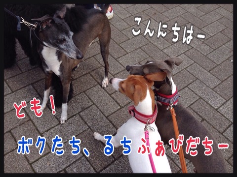 2015-04-12-22-06-13