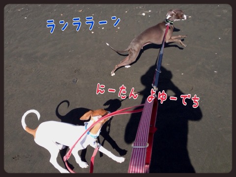2014-10-04-00-43-57