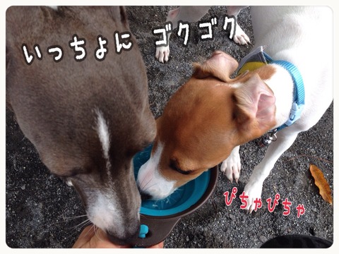 2014-10-02-18-49-20