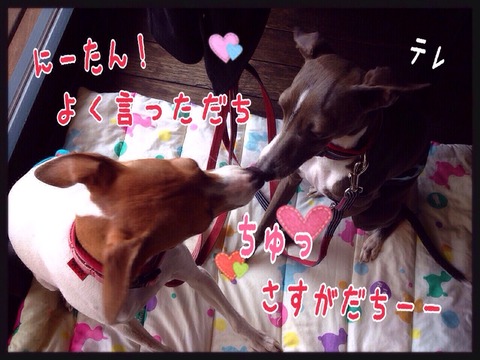 2015-02-15-23-11-55