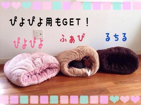 2014-11-17-23-22-04