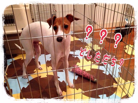 2015-02-01-22-25-56