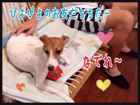 2015-08-23-21-05-31