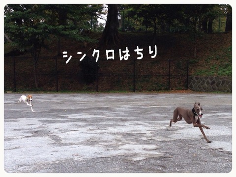 2014-10-02-19-01-37