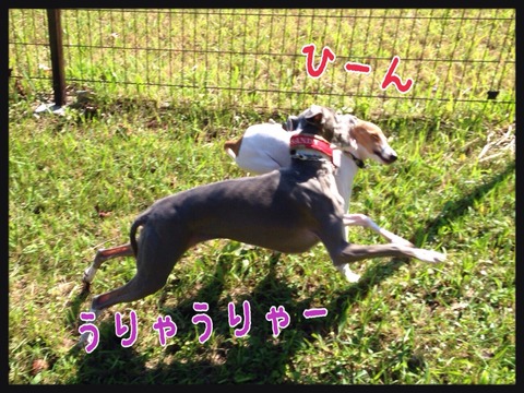 2014-10-25-13-41-30