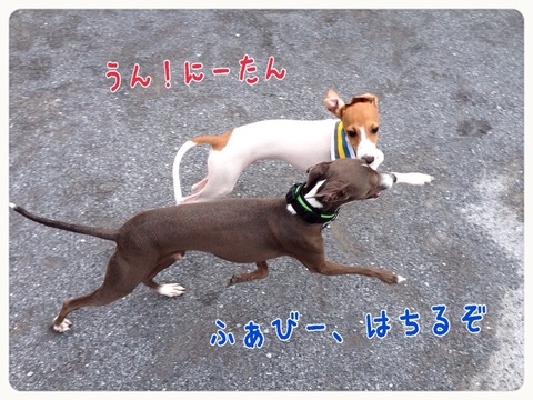 2014-10-02-18-43-30