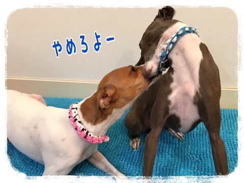 2016-01-11-23-25-37
