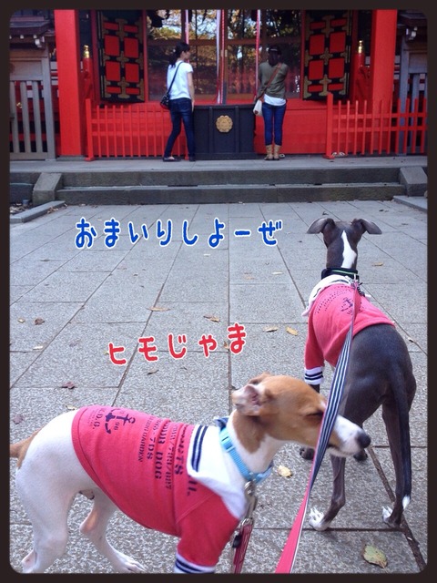 2014-10-04-00-47-48