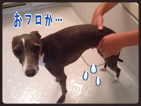 2015-08-31-21-32-59