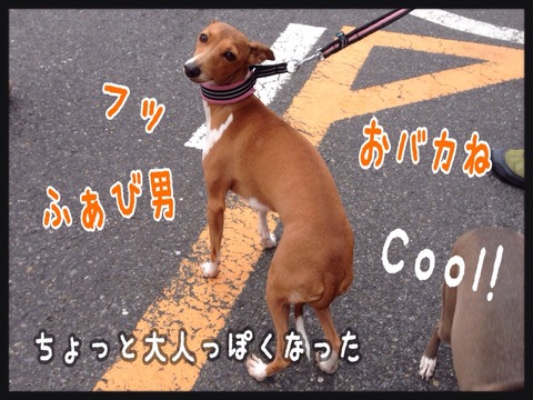2015-04-06-21-26-22