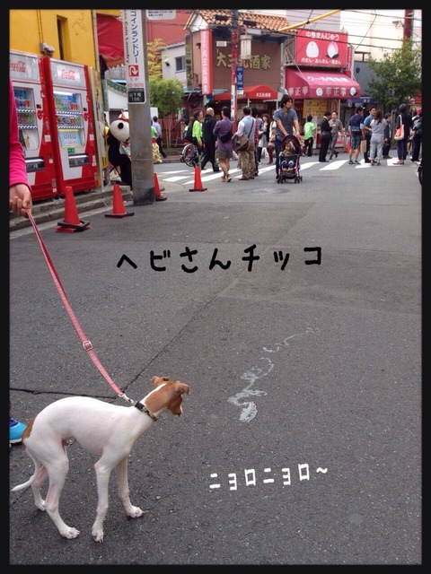 2014-10-12-22-04-32