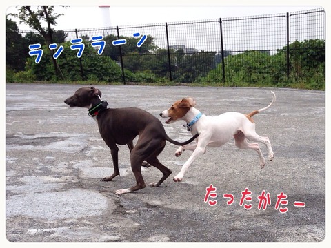 2014-10-02-18-51-10