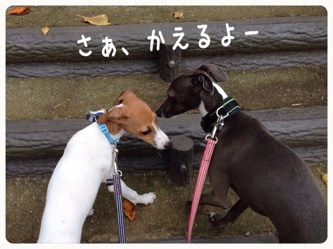 2014-10-02-19-28-27