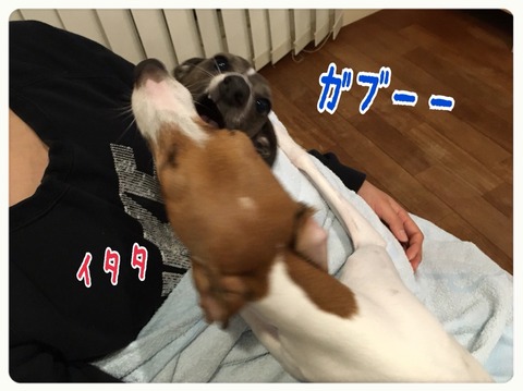 2016-02-26-23-03-21
