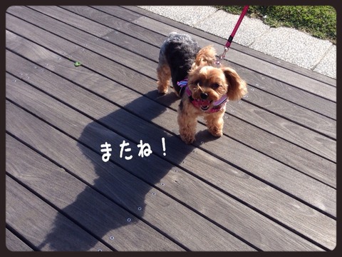 2014-10-04-01-04-18