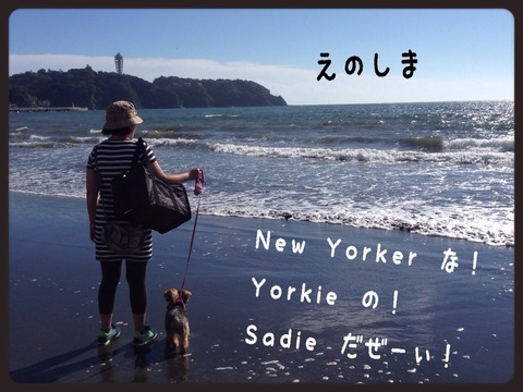 2014-10-04-00-27-05