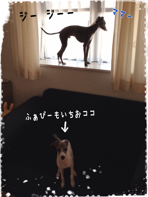 2014-09-22-11-02-57